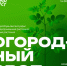 Огородный своп пройдет в Самаре 15 июня - Комсомольская Правда Самара