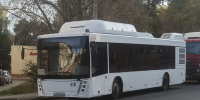 В Самаре ожидается обновление подвижного состава на маршрутах автобусов №1 и №50 - ProGorodSamara.Ru