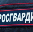 В Жигулевске патруль Росгвардии задержал объявленного в розыск подозреваемого в грабеже - НИА Самара