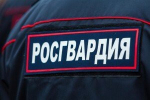 В Жигулевске патруль Росгвардии задержал объявленного в розыск подозреваемого в грабеже