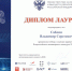 саблин диплом вик.jpg - СамГУПС