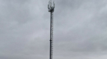 МТС накрыла сетью LTE Челно-Вершинский район на севере Самарской области