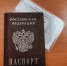Полиция задержала россиянина с фальшивым паспортом - Губерния ТВ