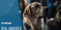 21 июня День кинолога: интересные факты и поздравления - ГТРК Самара