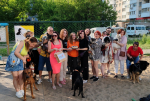 Снимок экрана 2025-06-21 143556.png