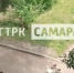 В Самарской области гусей выгуливают прямо во дворе среди высоток - ГТРК Самара