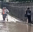 Жители Самары залезли на забор, чтобы обойти потоп на Московском шоссе - ГТРК Самара