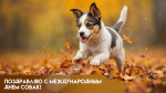 2 июля — Международный день собак: делимся яркими открытками