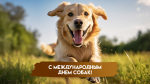 2 июля — Международный день собак: делимся яркими открытками