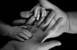 По поручению губернатора Вячеслава Федорищева утвердили долгосрочную программу "Моя семья"