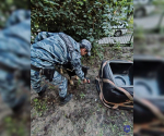 В Тольятти оцепили территорию с опасными предметами, а ими оказались игрушки