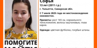 В Тольятти пропала 13-летняя девочка с каштановыми волосами - ГТРК Самара