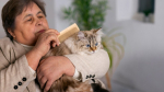 Учёные установили: кошки и собаки замедляют старение хозяев