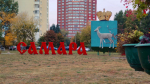 17 июля - День самарской символики: история возникновения региональных знаков отличия