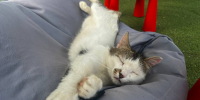 Самарцам рассказали, кому положен дополнительный отпуск - ГТРК Самара