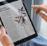 Bloomberg: Инсайдер Марк Гурман рассказал про фишки нового iPad Pro - ProGorodSamara.Ru