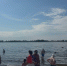 Вода все теплее: Волга у Самары прогрелась до +23 градусов - ГТРК Самара