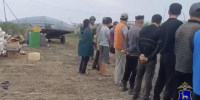 В Самарской области с помощью БПЛА обнаружили незаконно работающих иностранцев - Губерния ТВ