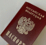 В России появится более 80 оснований для лишения приобретенного гражданства - Губерния ТВ