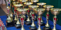 Самарские рапиристы Бородачевы примут участие в чемпионате мира - Губерния ТВ