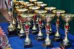 Самарские рапиристы Бородачевы примут участие в чемпионате мира