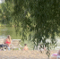 Купальный сезон в разгаре: вода в Самарской области прогрелась до +25 °C - ГТРК Самара