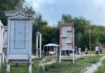В Самаре появится новый уютный дворик в рамках проекта «Сад наличников»