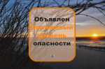 Самарцам напоминают о высокой пожароопасности лесов