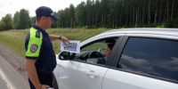 В Самарской области прошли профилактические мероприятия, посвященные ПДД РФ - ГУ МВД Самарской области