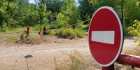 Жителей Тольятти призвали временно не ходить в лес - Комсомольская Правда Самара