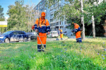 В августе ухаживать за газонами Самары будут более 140 человек