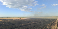 Вчера в 17:50 в Сергиевском районе вблизи поселка Новая Орлянка загорелась сухая трава на площади 800 квадратных метров. - Центр по делам гражданской обороны, пожарной безопасности и чрезвычайным ситуациям