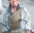 В Жигулёвске поймали 30-летнего вора, укравшего популярную скульптуру утки - ГТРК Самара