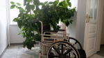 В Самаре мнимый инвалид получил выплаты на 2 млн руб