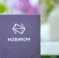 НОВИКОМ расширяет сотрудничество с Гарантийным фондом Чувашии, усиливая поддержку бизнеса региона - Волга Ньюс