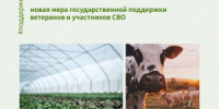 Консультационная поддержка участников и ветеранов СВО охватывает целый ряд вопросов, включая подготовку бизнес-плана, сбор документов и подачу заявки. - НИА Самара
