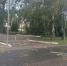 В Самарской области возбуждено уголовное дело о падении дерева на четырех прохожих - ГТРК Самара
