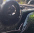 Водитель Nissan погиб на трассе М-5 под Тольятти - Волга Ньюс