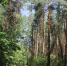 Вильфанд спрогнозировал возвращение июльской погоды в Центральную Россию - НИА Самара
