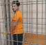 В Самарской области арестован организатор зиплайна, на котором погибли два человека - ГТРК Самара