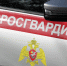 В Самаре росгвардейцы обеспечили безопасность футбольного матча РПЛ - Росгвардия