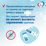 Вакцинопрофилактика гриппа — первоочередное правило сохранения здоровья в осенне-зимний период