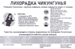 Важная информация по вирусу Чикунгунья