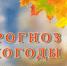 Что нам приготовила осенняя погода в период с 4 по 10 сентября? - НИА Самара