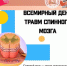 5 сентября - Всемирный день травмы спинного мозга - Противотуберкулезный диспансер