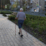 Срок выплаты пенсий в этом сентябре переносят — вот вам и «подарок»: названы новые даты - ProGorodSamara.Ru
