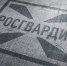 В Самарской области стартуют сразу два чемпионата Приволжского округа Росгвардии - Росгвардия