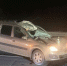 В Самарской области водитель Lada Largus насмерть сбил лося вечером 10 сентября - Комсомольская Правда Самара