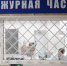 Жительница Самары фиктивно прописала у себя в квартире 30 иностранцев - Комсомольская Правда Самара