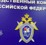 Бастрыкин запросил доклад о дорожной аварии под Самарой с погибшим ребенком - ГТРК Самара